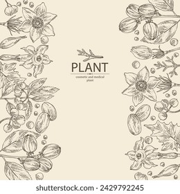 Background with  cosmetic and medical plants: datura stramonium, pulsatilla chinensis, croton tiglium, ardisia japonica. Vector hand drawn illustration