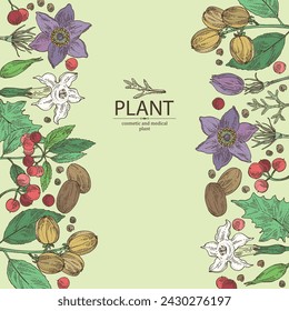 Background with  cosmetic and medical plants: datura stramonium, pulsatilla chinensis, croton tiglium, ardisia japonica. Vector hand drawn illustration