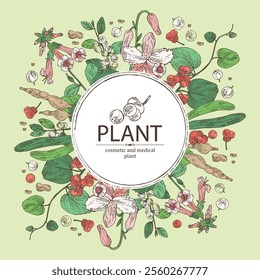 Background with cosmetic and medical plants: dendrobium nobile, flueggea suffruticosa, rehmannia glutinosa, cissampelos pareira. Vector hand drawn illustration