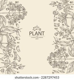 Background with cosmetic and medical plants: gentiana macrophylla, large leaf gentian, eucommia ulmoides, alangium chinense and dichroa febrifuga lour. Vector hand drawn illustration