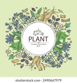 Background with cosmetic and medical plants: gentiana macrophylla, large leaf gentian, eucommia ulmoides, alangium chinense and dichroa febrifuga lour. Vector hand drawn illustration