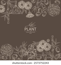 Background with cosmetic and medical plants: hawthorn, bamboo, lotus seed, elecampane flower. Vector hand drawn illustration