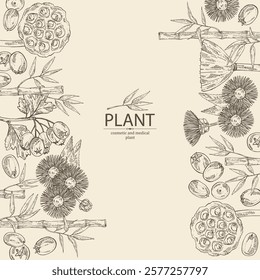 Background with cosmetic and medical plants: hawthorn, bamboo, lotus seed, elecampane flower. Vector hand drawn illustration