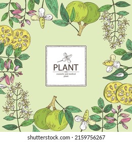 Background with cosmetic and medical plants: houttuynia cordata, bengal quince, baile fruit ,indigo and lawsonia inermis. Vector hand drawn illustration