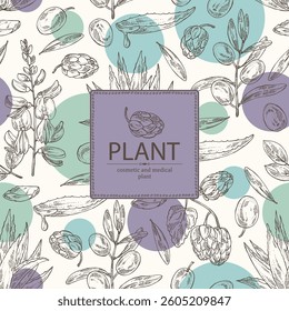 Background with cosmetic and medical plants: indigofera tinctoria, indigo, olive, blue agave, hops. Vector hand drawn illustration