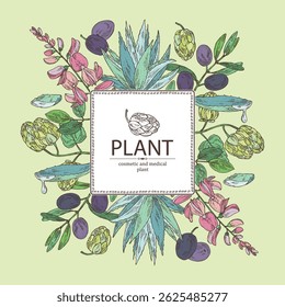 Background with cosmetic and medical plants: indigofera tinctoria, indigo, olive, blue agave, hops. Vector hand drawn illustration
