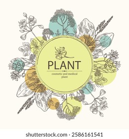 Background  of cosmetic and medical plants: linden flower, celandine,  large plantain, yarrow flowers. Vector hand drawn illustration