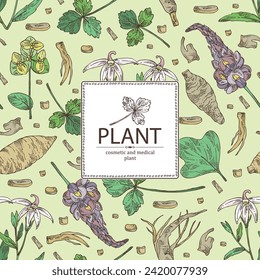 Background with cosmetic and medical plants: lobelia chinensis flowers, pueraria lobata, cryptotaenia japonica, euphorbia pekinensis. Vector hand drawn illustration