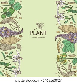 Background with cosmetic and medical plants: lobelia chinensis flowers, pueraria lobata, cryptotaenia japonica, euphorbia pekinensis. Vector hand drawn illustration