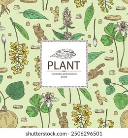 Background with cosmetic and medical plants: lofant, isatis tinctoria, stephania glabra, coptis chinese. Vector hand drawn illustration