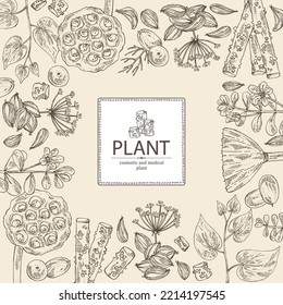 Background with cosmetic and medical plants: lotus seeds, brahmi flowers, guduchi plant, indigo and azhgon seeds. Vector hand drawn illustration