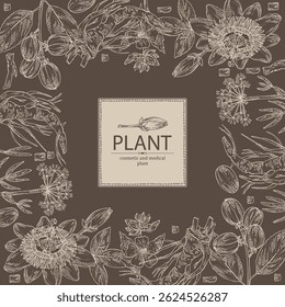 Background with cosmetic and medical plants: passiflora flowers, althea officinalis, croton tiglium, сrithmum. Vector hand drawn illustration