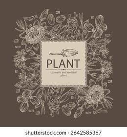 Background with cosmetic and medical plants: passiflora flowers, althea officinalis, croton tiglium, сrithmum. Vector hand drawn illustration