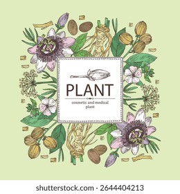 Background with cosmetic and medical plants: passiflora flowers, althea officinalis, croton tiglium, сrithmum. Vector hand drawn illustration