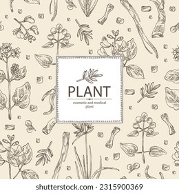 Background with cosmetic and medical plants: rubia cordifolia, boerhavia diffusa, punarnava, pterocarpus marsupium, indian kino tree, cyperus rotundus, nagarmotha. Vector hand drawn illustration