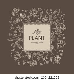 Background cosmetic and medical plants: rubia cordifolia, boerhavia diffusa, punarnava, pterocarpus marsupium, indian kino tree, cyperus rotundus, nagarmotha. Vector hand drawn illustration