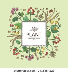 Background cosmetic and medical plants: rubia cordifolia, boerhavia diffusa, punarnava, pterocarpus marsupium, indian kino tree, cyperus rotundus, nagarmotha. Vector hand drawn illustration