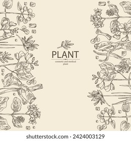 Background cosmetic and medical plants: rubia cordifolia, boerhavia diffusa, punarnava, pterocarpus marsupium, indian kino tree, cyperus rotundus, nagarmotha. Vector hand drawn illustration