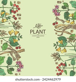 Background cosmetic and medical plants: rubia cordifolia, boerhavia diffusa, punarnava, pterocarpus marsupium, indian kino tree, cyperus rotundus, nagarmotha. Vector hand drawn illustration