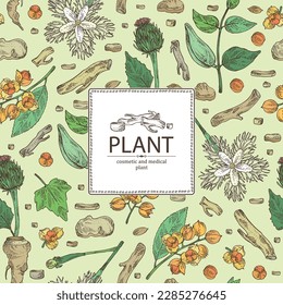 Background with cosmetic and medical plants: saussurea costus, сelastrus paniculatus, leptadenia reticulata, trichosanthes japonica. Vector hand drawn illustration