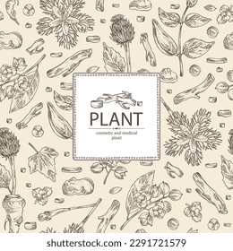 Background with cosmetic and medical plants: saussurea costus, сelastrus paniculatus, leptadenia reticulata, trichosanthes japonica. Vector hand drawn illustration