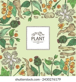 Background with cosmetic and medical plants: saussurea costus, сelastrus paniculatus, leptadenia reticulata, trichosanthes japonica. Vector hand drawn illustration