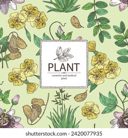 Background with cosmetic and medical plants: senna alexandrina, passiflora incarnata, evening primula, oenothera plant, new zealand flax. Vector hand drawn illustration