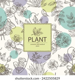 Background with cosmetic and medical plants: senna alexandrina, passiflora incarnata, evening primula, oenothera plant, new zealand flax. Vector hand drawn illustration