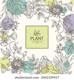 Background with cosmetic and medical plants: senna alexandrina, passiflora incarnata, evening primula, oenothera plant, new zealand flax. Vector hand drawn illustration