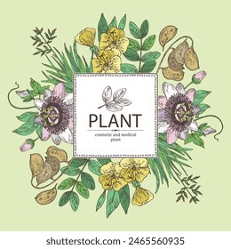 Background with cosmetic and medical plants: senna alexandrina, passiflora incarnata, evening primula, oenothera plant, new zealand flax. Vector hand drawn illustration