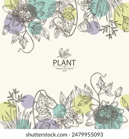 Background with cosmetic and medical plants: senna alexandrina, passiflora incarnata, evening primula, oenothera plant, new zealand flax. Vector hand drawn illustration