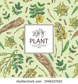 Background with cosmetic and medical plants: sophora japonica flower and pod, angelica sinensis root, flowers of tribulus terrestris, isatis tinctoria flowers. Vector hand drawn illustrations