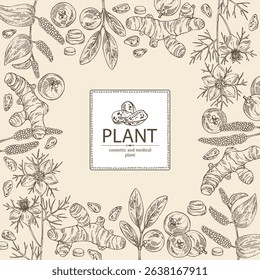 Background with cosmetic and medical plants: turmeric root, nigella sativa, garcinia indica, pippali. Vector hand drawn illustration.