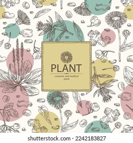 Background cosmetic and medical plants: viburnum berries, large plantain, elecampane flower, lonicera pileata and atraktylodes large root. Vector hand drawn illustration