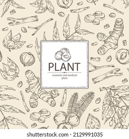 Background with cosmetic and medical plants: withania somnifera ashwagandha, turmeric root, amla berries and neem. Vector hand drawn illustration