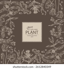 Background with cosmetic, parfumery and medical plants: mesua ferrea, cyclamen, boerhavia diffusa, punarnava, atraktylodes large. Vector hand drawn illustration.