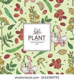 Background with cosmetic, parfumery and medical plants: tansy flowers, senna alexandrina, barberry, dendrobium nobile. Vector hand drawn illustration.
