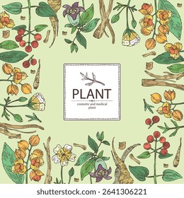 Background with cosmetic, parfumery and medical plants: meadowfoam, rubia cordifolia, manjishta, сelastrus paniculatus, codonopsis lanceolata. Vector hand drawn illustration.