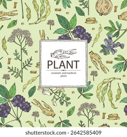 Antecedentes com plantas cosméticas, de parfumaria e medicinais: corydalis ambigua, yarrow, sophora japonica, eleutherococcus. Ilustração desenhada à mão vetorial.