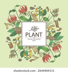 Background with cosmetic, parfumery and medical plants: symplocos racemosa, lodhra, cyperus rotundus, nagarmotha, gloriosa superba, kino tree, pterocarpus marsupium. Vector hand drawn.