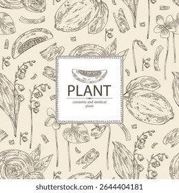 Fundo com plantas cosméticas, de parfumaria e médicas: cítron, lírio do vale, viola odorata, mogno. Ilustração desenhada à mão vetorial.