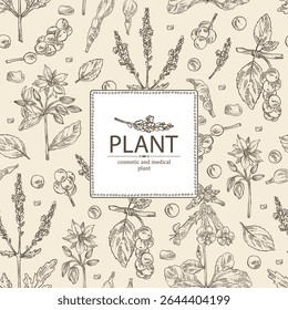 Antecedentes com plantas cosméticas, de parfumaria e medicinais: borago officinalis, verbena, schisandra chinise, rehmannia glutinosa. Ilustração desenhada à mão vetorial.