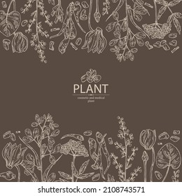 Background with cosmetic, perfumery and medical plants: wormwood flowers and leaves, valeriana flower and roott, cyclamen and dog fenugreek seeds. Vector hand drawn illustration