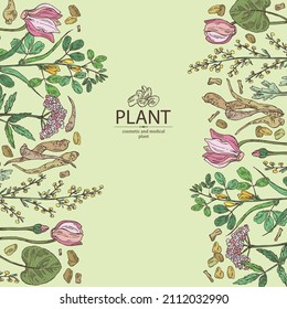 Background with cosmetic, perfumery and medical plants: wormwood flowers and leaves, valeriana flower and roott, cyclamen and dog fenugreek seeds. Vector hand drawn illustration