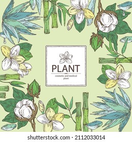 Background with cosmetic, perfumery and medical plants: bamboo, plumeria flowers, blue agave and cotton plant . Vector hand drawn illustration