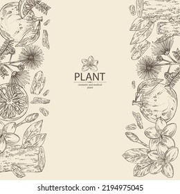 Antecedentes con plantas cosméticas, perfumistas y médicas: flores plumeria, frangipani, madera de agar, árbol alto, fruta yuzu, flores albizia lankaran. Dibujo manual del vector