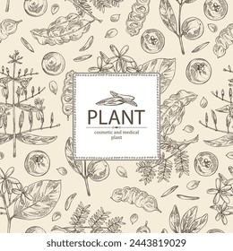 Background with cosmetic, perfumery and medical plants: acacia concinna, garcinia indica, holarrhena pubescens, andrographis paniculata. Vector hand drawn illustration