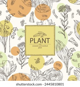 Background with cosmetic, perfumery and medical plants: magnolia grandiflora, lily of the valley, teak tree, immortelle. Vector hand drawn illustration