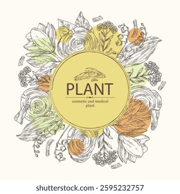 Background with cosmetic, perfumery and medical plants: magnolia grandiflora, lily of the valley, teak tree, immortelle. Vector hand drawn illustration
