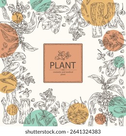 Background with cosmetic, perfumery and medical plants: osmanthus, polianthes tuberosa, tonka beans, agar wood, oud tree. Vector hand drawn illustration